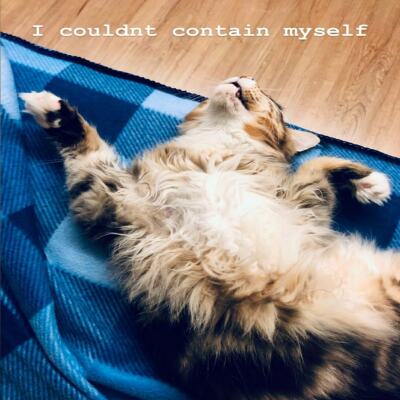 Bright Rhythm Studio