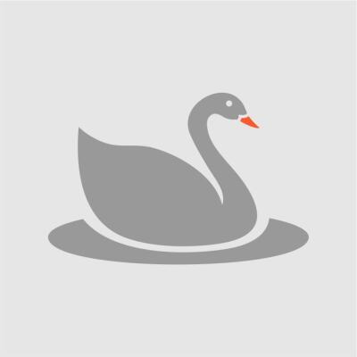 DuckOn