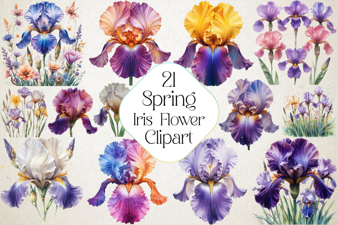 Spring Iris Flower | Deeezy
