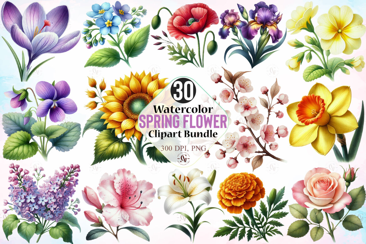 Watercolor Spring Flower Clipart Bundle | Deeezy
