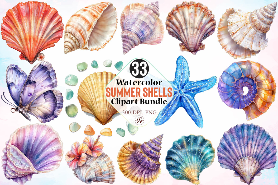 Watercolor Summer Shells Clipart Bundle | Deeezy