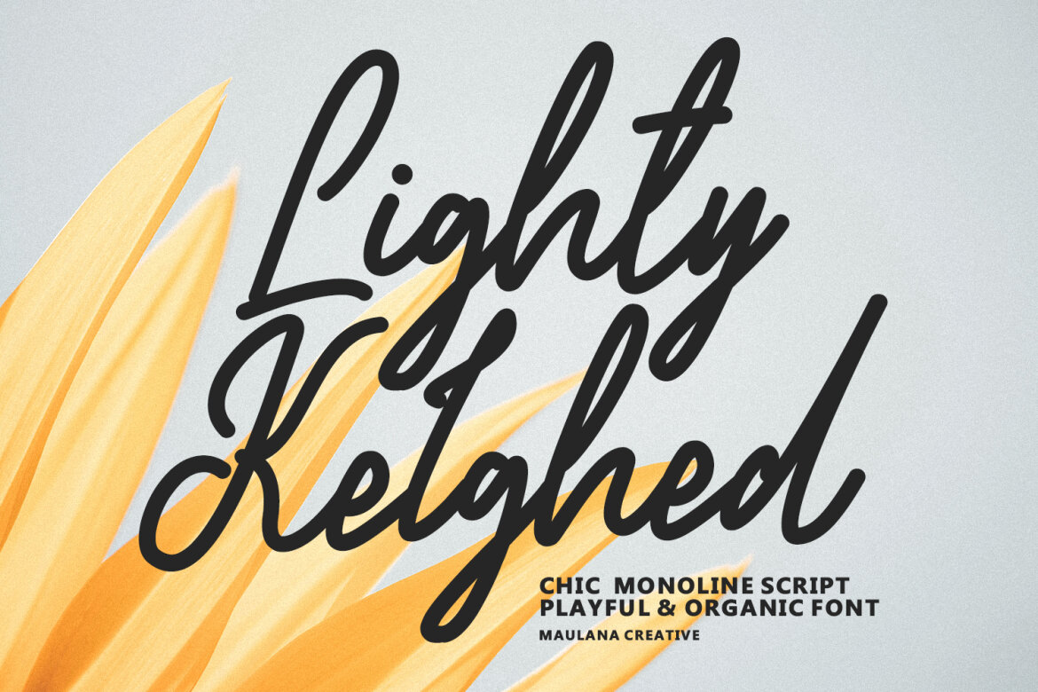 Lighty Kelghed Chic Monoline Script Playful Font | Deeezy