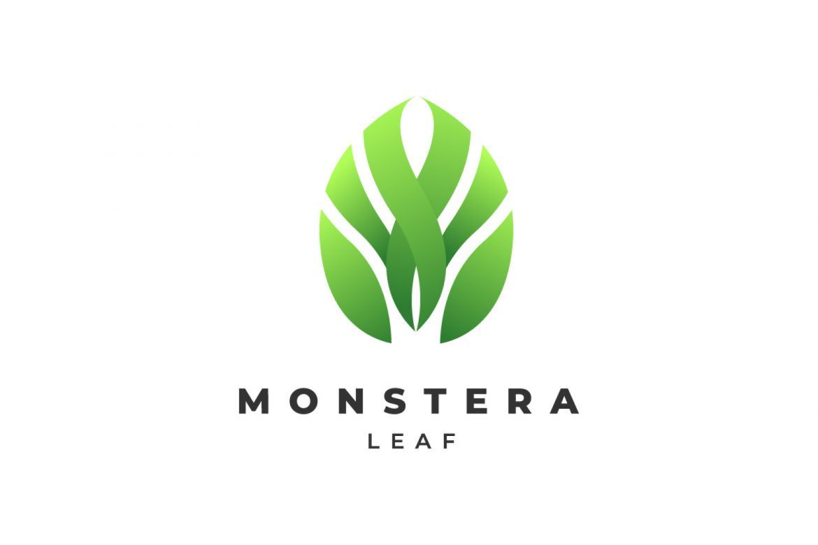 Monstera leaf - Logo template | Deeezy