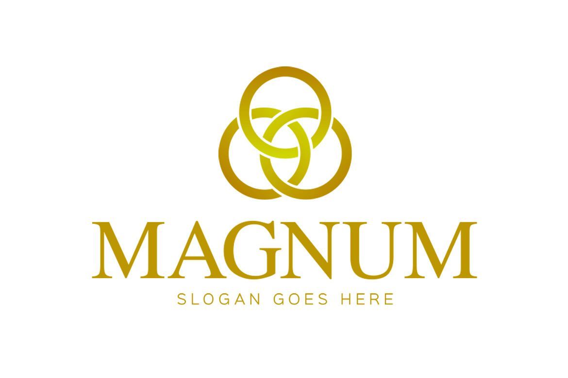 Magnum Ice Cream Launches its Most Indulgent Chocolate Experience Yet with  New Double Ice Cream Tubs