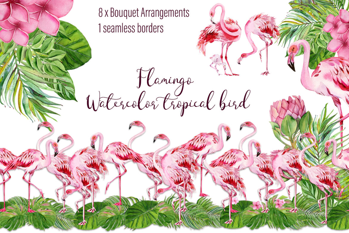 tropical birds clipart spring