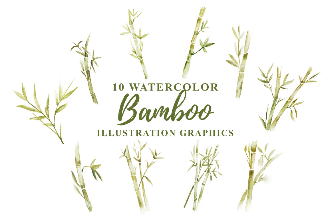 10 Watercolor Bamboo Illustration Graphics | Deeezy