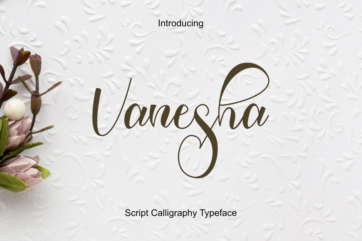 Vanesha FREE Script | Deeezy