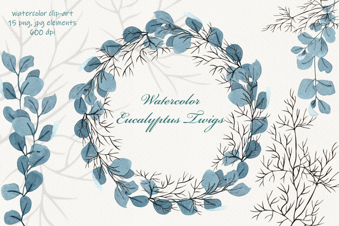 Eucalyptus Watercolor Clipart | Deeezy