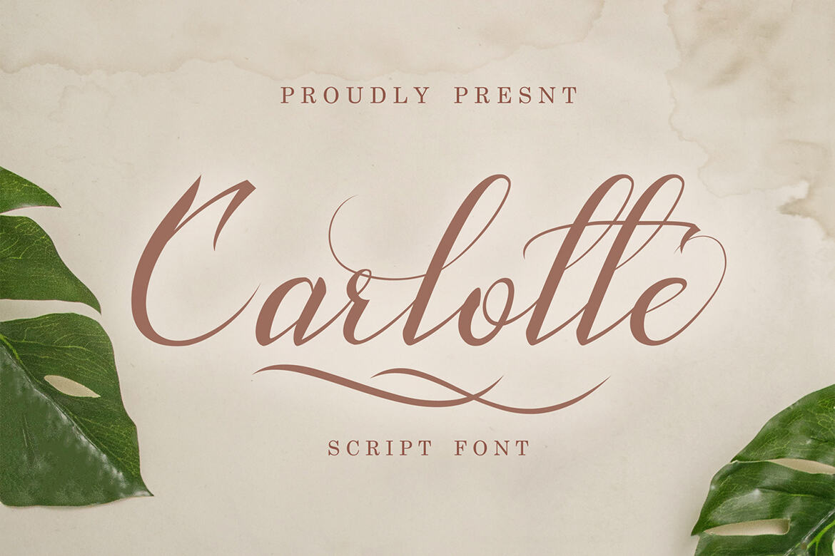 Carlotte FREE Script | Deeezy