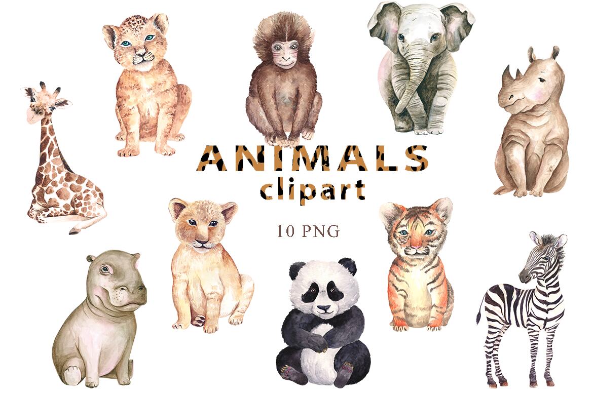 Watercolor Safari Baby Animals Clipart | Deeezy