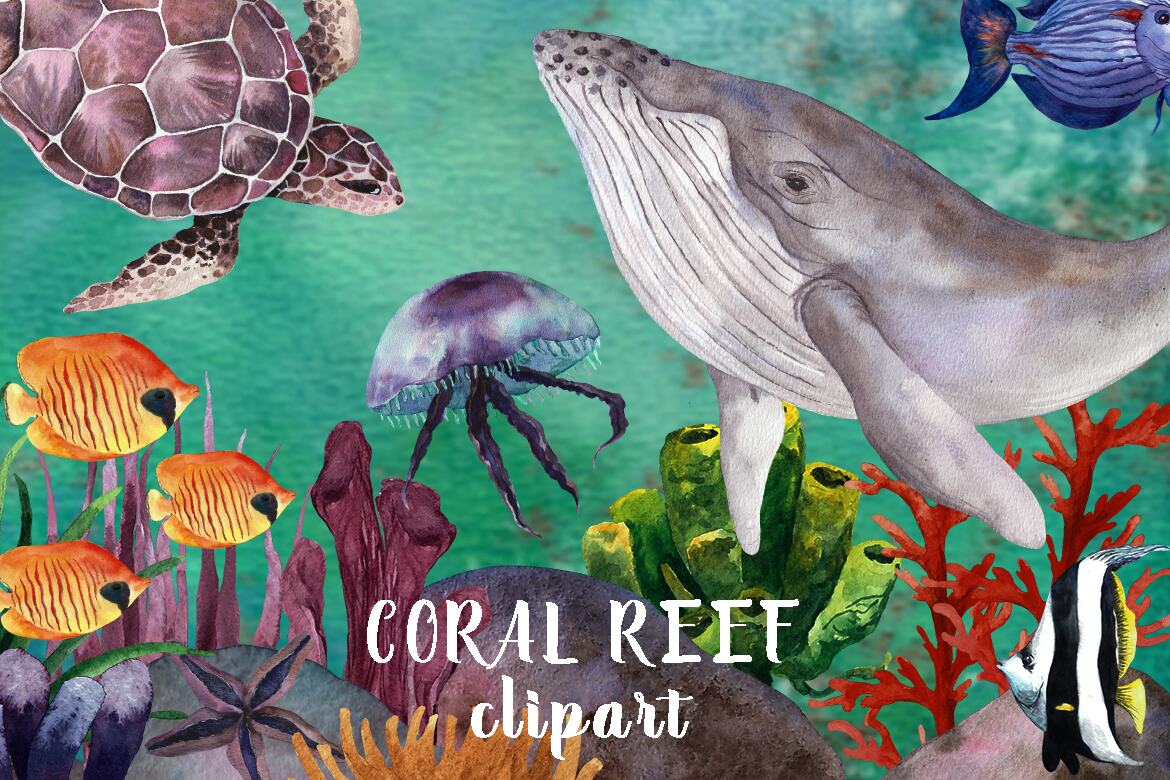 Watercolor Coral Reef, Ocean Animals Clipart | Deeezy