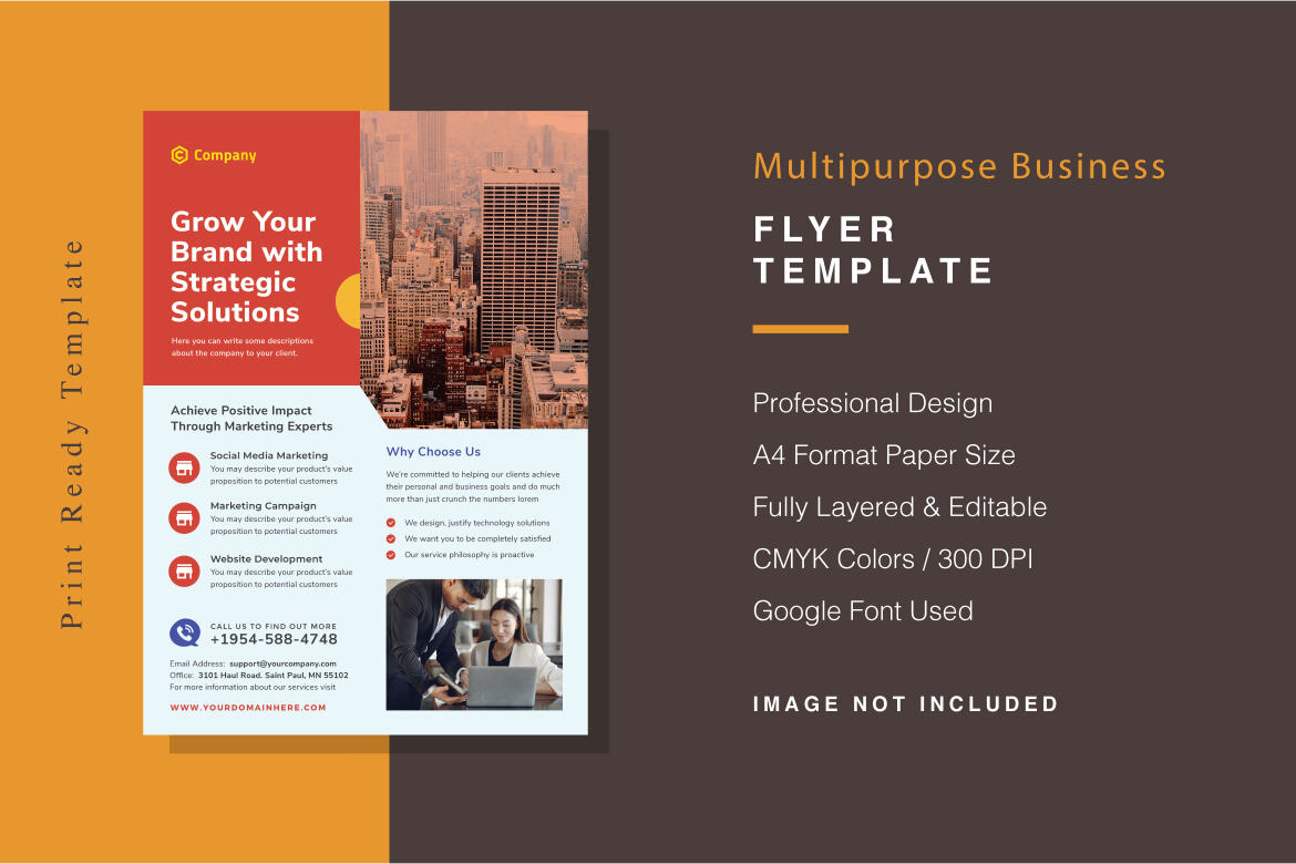 Multipurpose Business Flyer Template | Deeezy