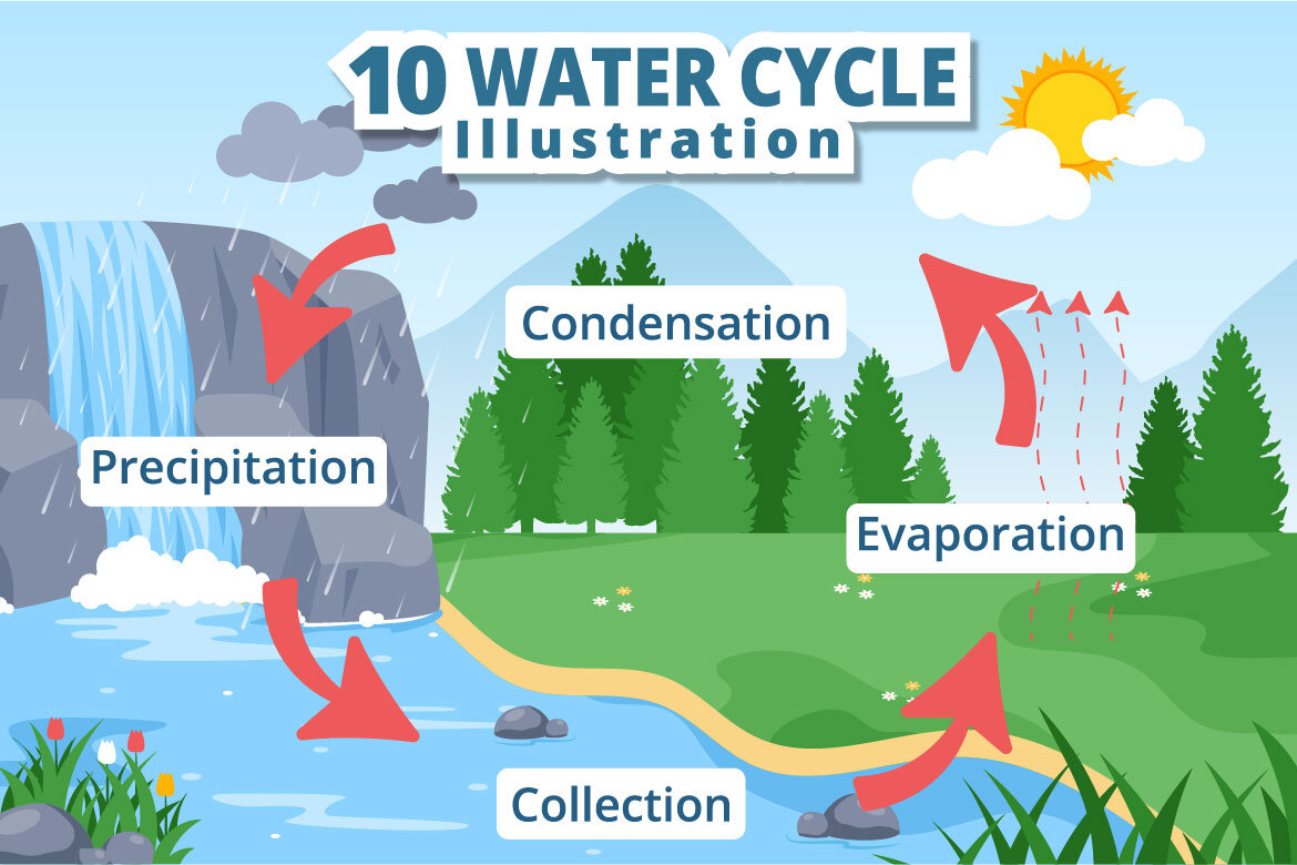 10 Water Cycle Earth Illustration | Deeezy