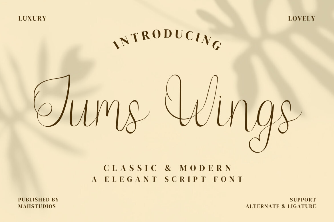 Jump Wings Script Fonts | Deeezy