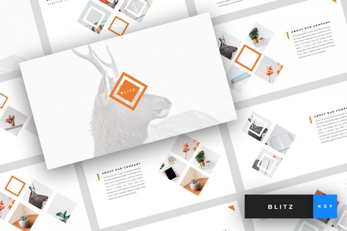 Blitz - Creative Keynote Template | Deeezy
