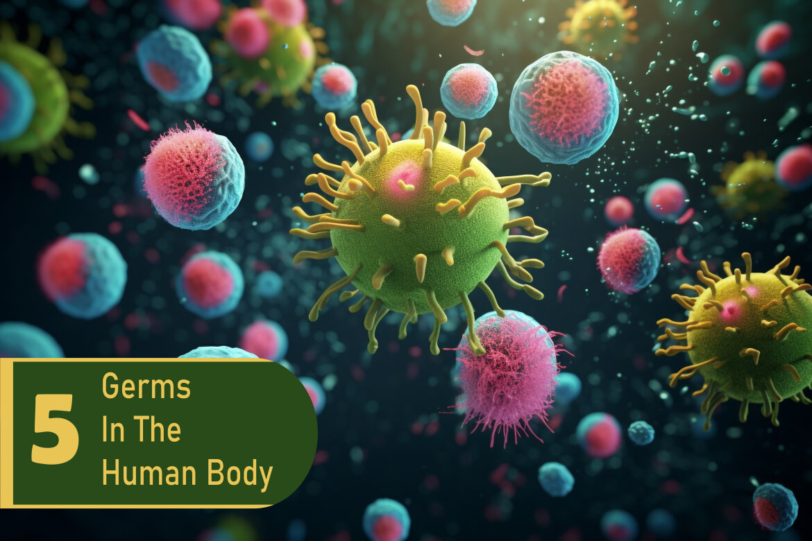 Virus Bacteria Germs - 5 Free Stock Images | Deeezy