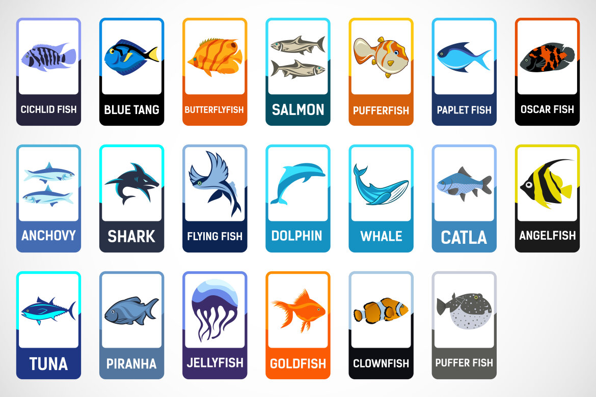 Fish flashcards for kids | Deeezy