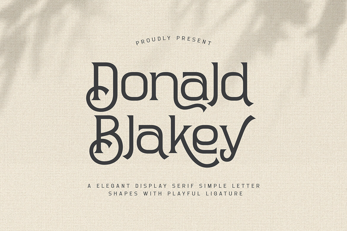 Donald Blakey Retro Serif | Deeezy