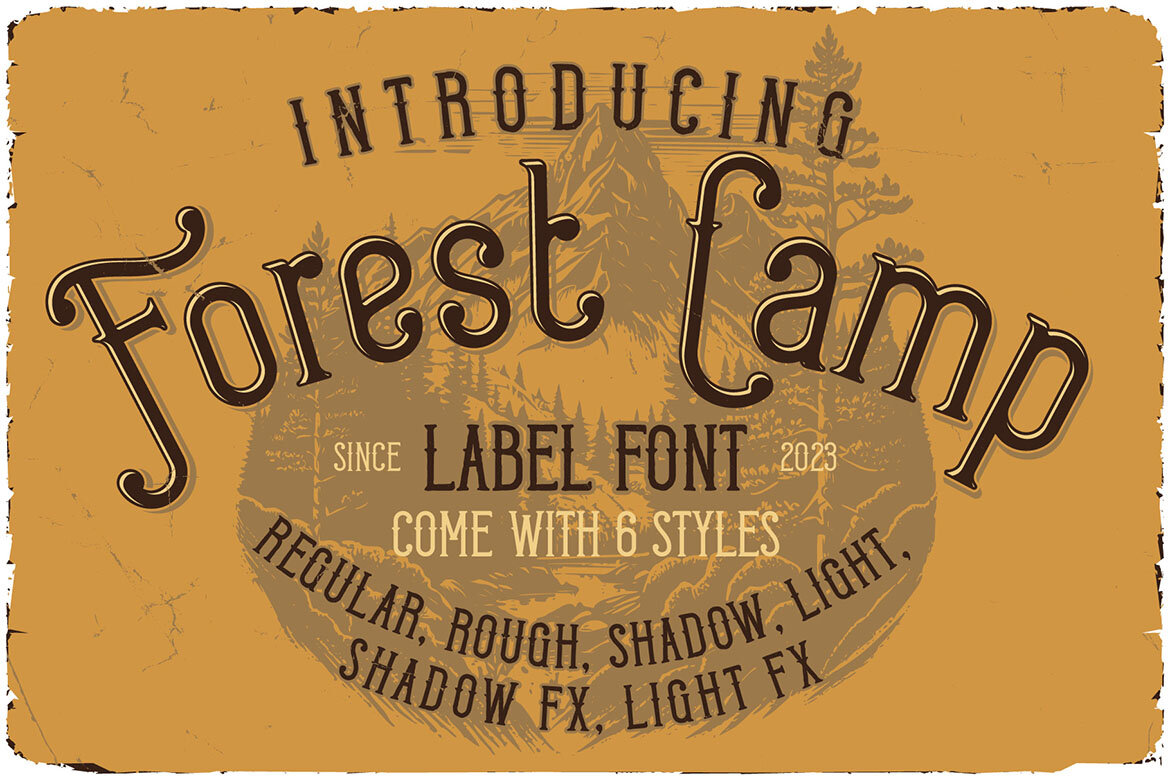 Forest Camp Display Font & Graphics | Deeezy