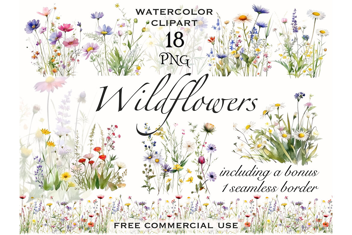 Watercolor Wildflowers PNG Bundle | Deeezy