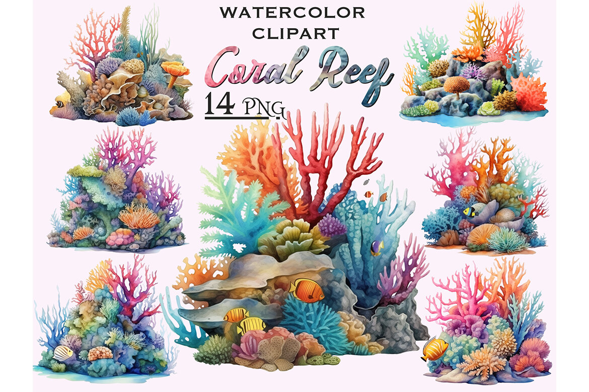 Coral Reef PNG Bundle | Deeezy