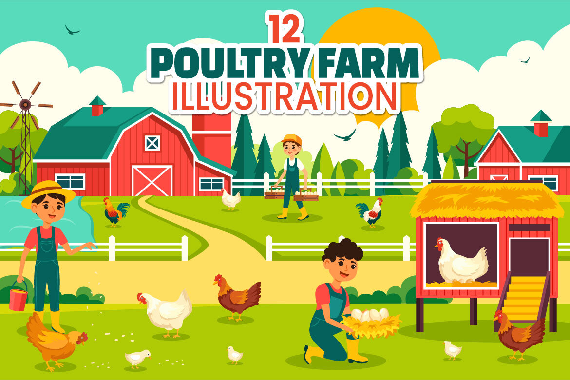 12 Poultry Farm Illustration | Deeezy