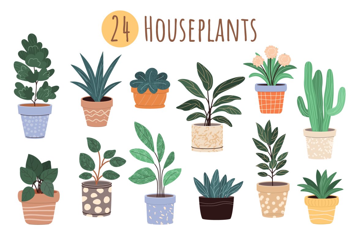 24 Flat Vector Houseplants Set | Deeezy