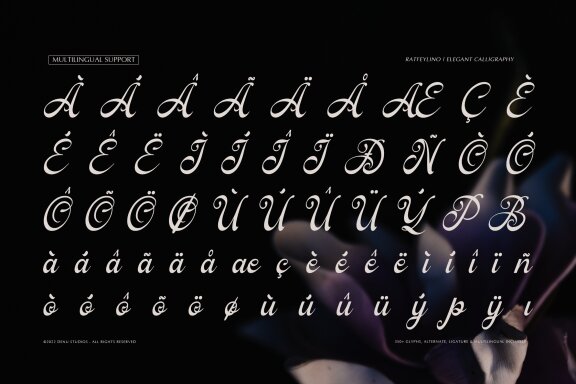Ratfeylino | Elegant Calligraphy