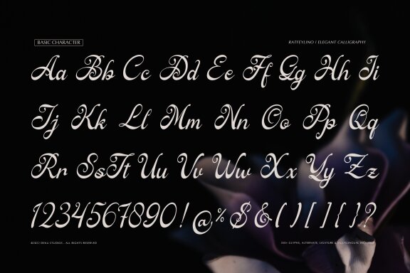 Ratfeylino | Elegant Calligraphy