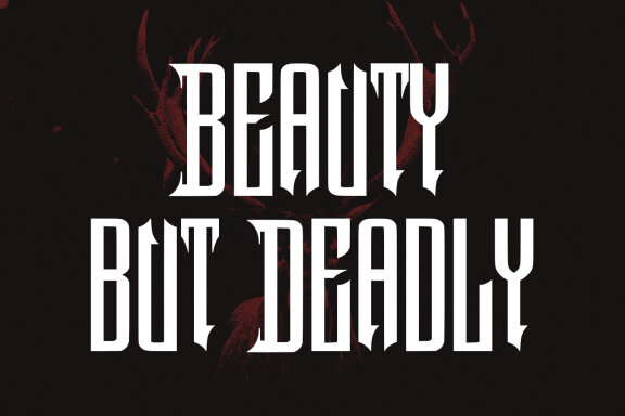 Ammeq Blackletter Font