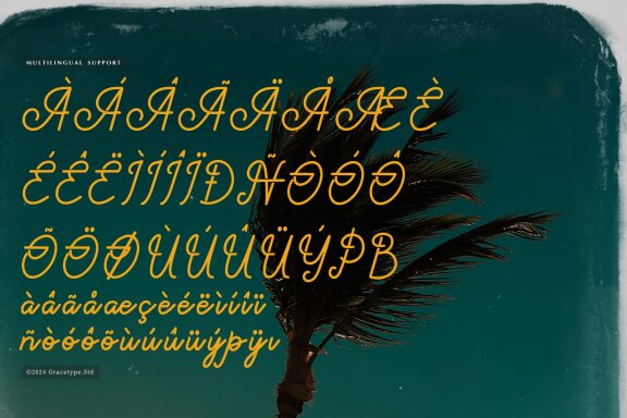 Paradise Gallaiso | Monoline Script Typeface