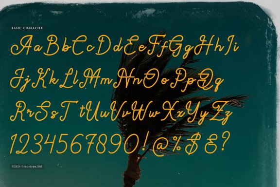 Paradise Gallaiso | Monoline Script Typeface