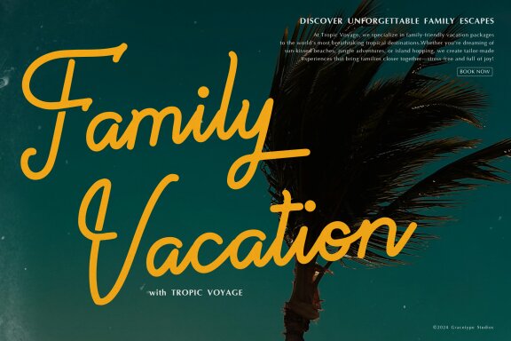 Paradise Gallaiso | Monoline Script Typeface