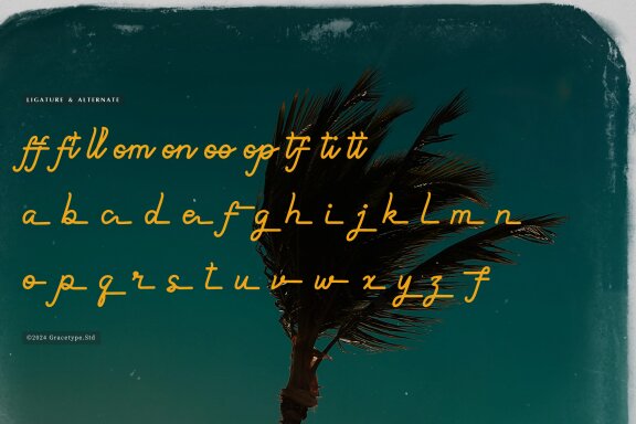 Paradise Gallaiso | Monoline Script Typeface