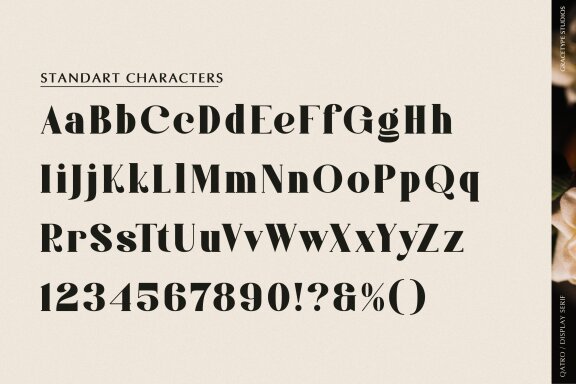 Qatro | Display Serif Font