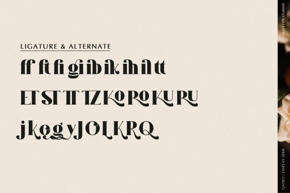 Qatro | Display Serif Font