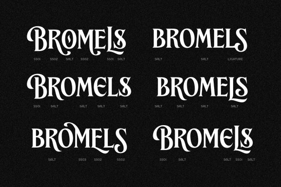 Brillante Siempre – Fancy Serif