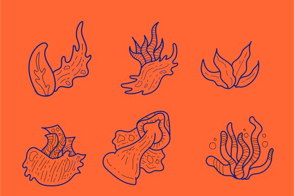 Doodle Ornament Set – Underwater Theme