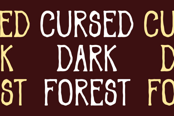Lidomna Vintage Sans Display Font