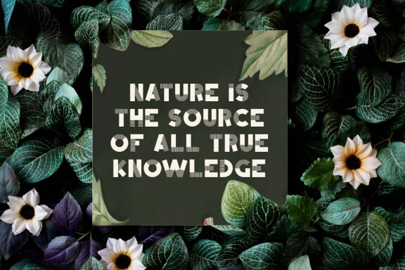 Green Highlight Font