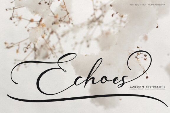 Willsyard | Modern Calligraphy