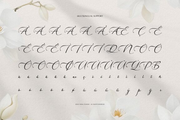 Willsyard | Modern Calligraphy