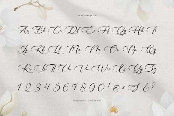 Willsyard | Modern Calligraphy