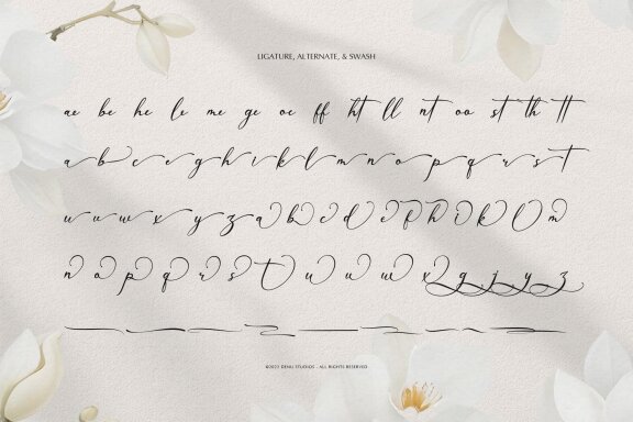 Willsyard | Modern Calligraphy