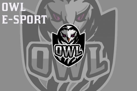 Owl Esport Mascot Logo