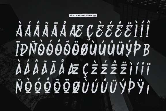 Rawra Brush | Solid Hand Drawn Brush