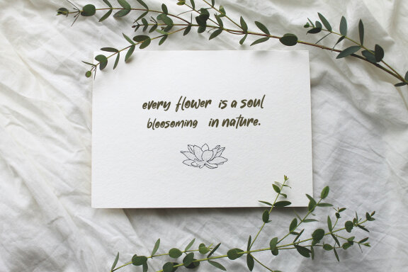 Festus Magiest Casual Script Font