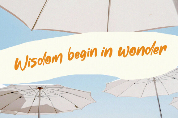 Festus Magiest Casual Script Font