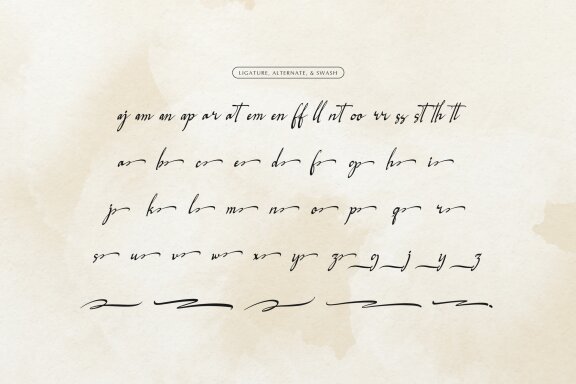 Logically Signature | Elegant Signature