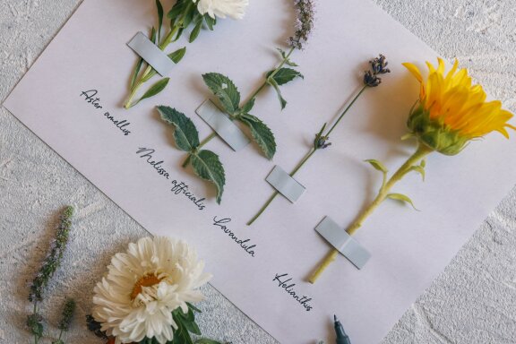 Day Dreaming | Script Handwritten